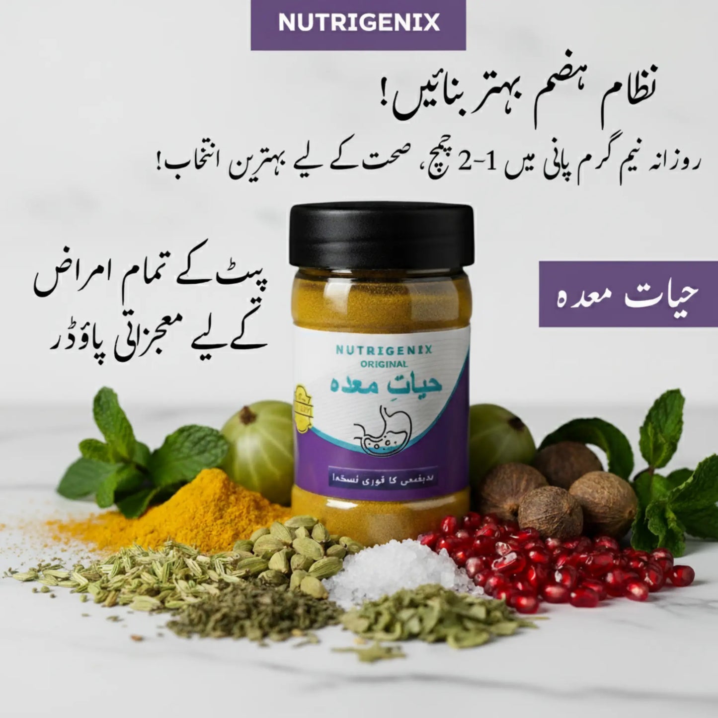 Hayat-e-Maida