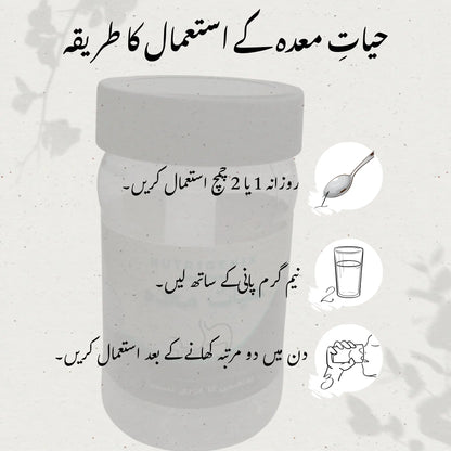 Hayat-e-Maida